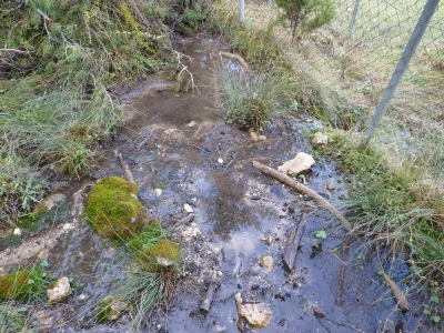 Manantial de la Sierra del Agua II - imagen 2