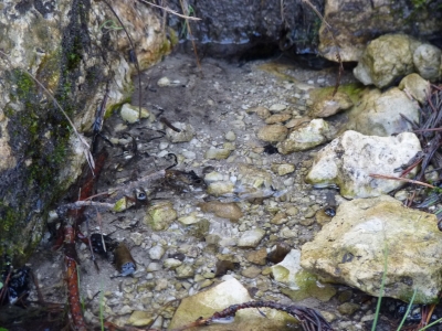 Manantial de la Sierra del Agua II - imagen 3
