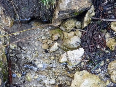 Manantial de la Sierra del Agua II - imagen 4
