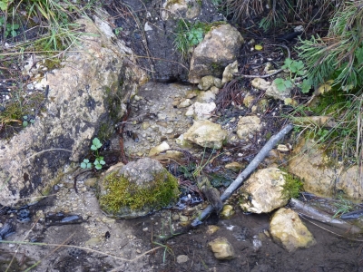 Manantial de la Sierra del Agua II - imagen 5