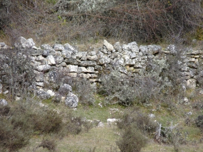 Manantial de la Sierra del Agua II - imagen 6