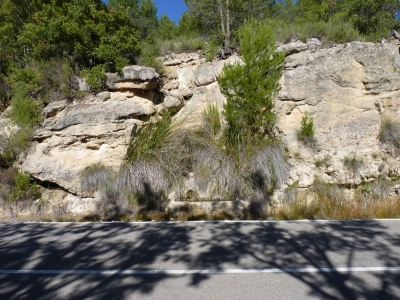 Manantial del Estrecho de los Pozos - imagen 1