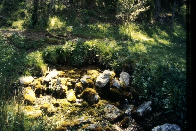 Manantiales del Prado - imagen 1