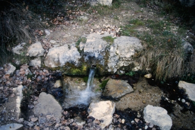 Fuente de Martín Alhaja - imagen 3