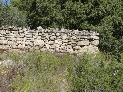 Mediovino I, de - imagen 9