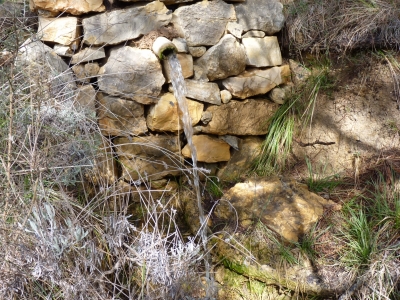 Fuente las Melguizas - imagen 1