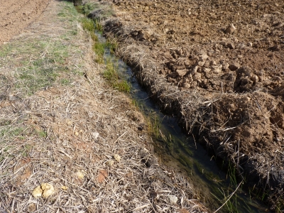 Moracha I, de la - imagen 5