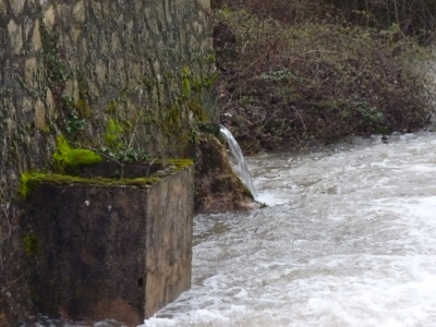 Fuente los Motores - imagen 2