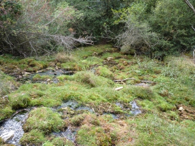 Nacimiento del río Cuervo - imagen 2