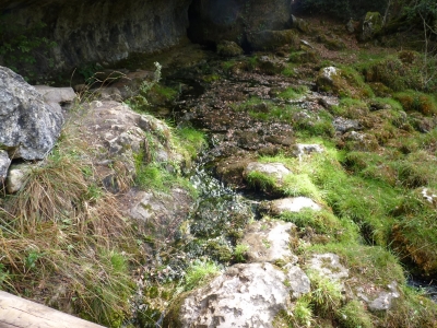 Nacimiento del río Cuervo - imagen 3