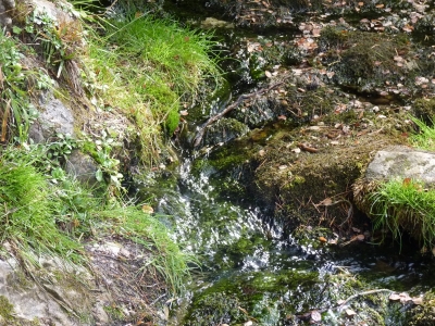 Nacimiento del río Cuervo - imagen 4