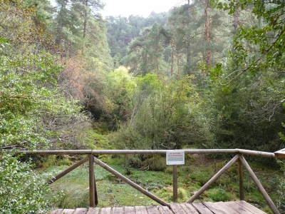 Nacimiento del río Cuervo - imagen 5