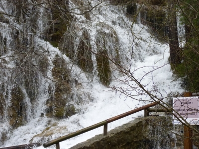 Nacimiento del río Cuervo - imagen 7