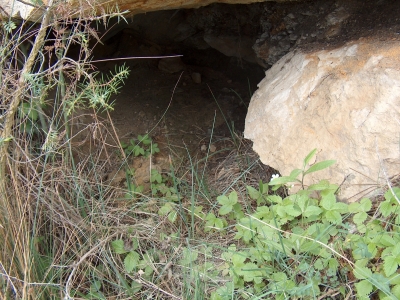 Fuente de la Niña - imagen 3