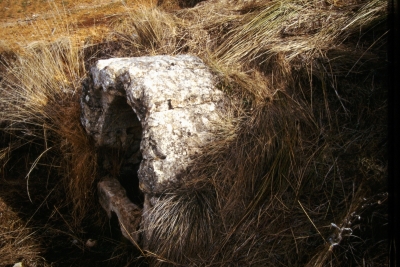 Fuente del Obispo - imagen 3