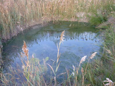 Ojo de Aguarrecia - imagen 2