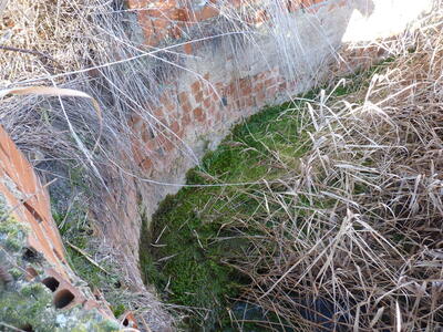 Ojo de las Canales - imagen 3