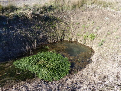 Ojo del Cerrillo Vaquero - imagen 7