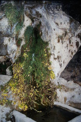 Fuente del Pedernal - imagen 1