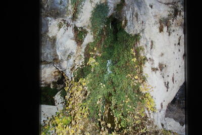 Fuente del Pedernal - imagen 3