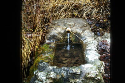 Fuente del Pedernal - imagen 4