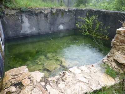 Fuente Peñuela - imagen 3