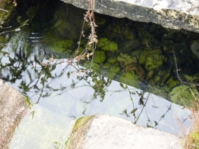 Fuente del Peral - imagen 3
