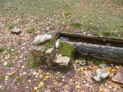 Fuente del Peral - imagen 5