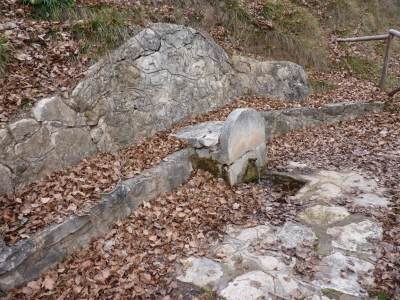 Fuente de Pie Pajarón - imagen 1