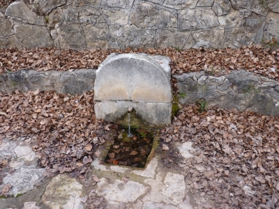 Fuente de Pie Pajarón - imagen 3