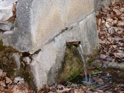 Fuente de Pie Pajarón - imagen 4