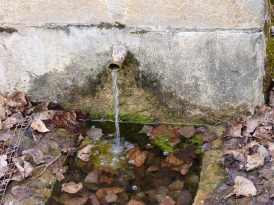 Fuente de Pie Pajarón - imagen 5