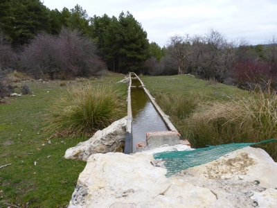 Fuente de Pie Pajarón (Abrevadero)  - imagen 2