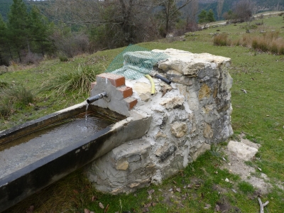 Fuente de Pie Pajarón (Abrevadero)  - imagen 3