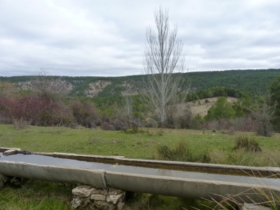 Fuente de Pie Pajarón (Abrevadero)  - imagen 6