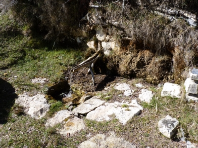 Fuente del Pino - imagen 1