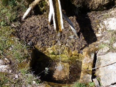 Fuente del Pino - imagen 3