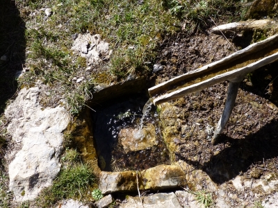 Fuente del Pino - imagen 5