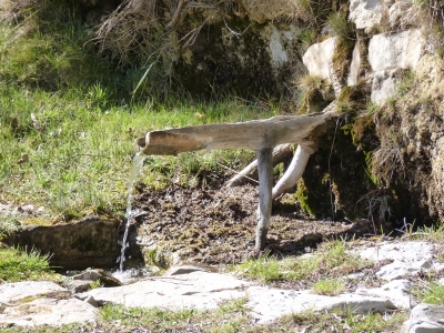 Fuente del Pino - imagen 7