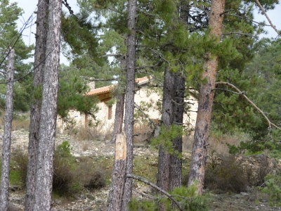 El Pozarrón - imagen 6