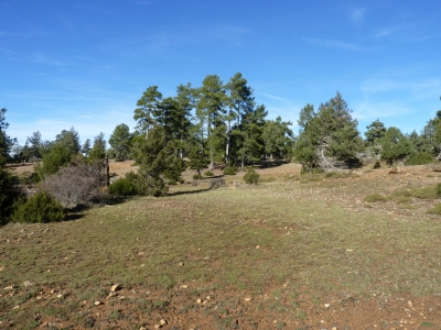 Pozo de la Cámara - imagen 5