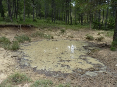 Pozo de la Palancosa - imagen 2