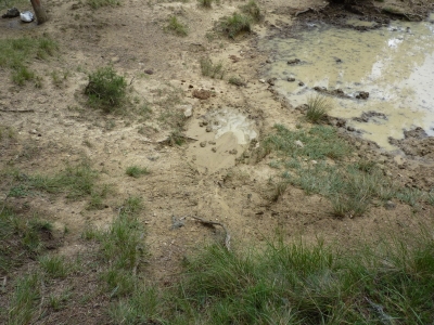 Pozo de la Palancosa - imagen 5