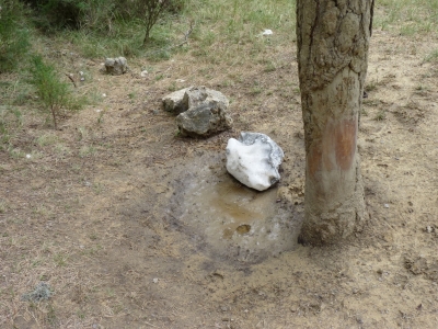 Pozo de la Palancosa - imagen 7