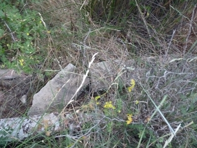 Pozo de las Hontanillas, del - imagen 3
