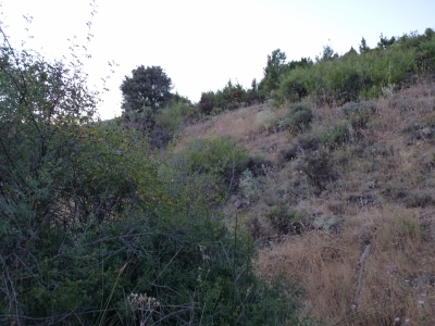 Pozo de las Hontanillas, del - imagen 4