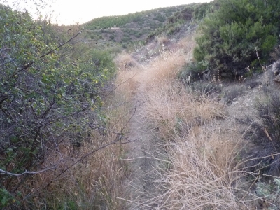 Pozo de las Hontanillas, del - imagen 6
