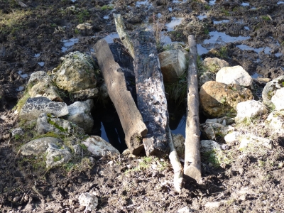 Pozo de los Llanos - imagen 2