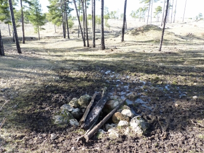 Pozo de los Llanos - imagen 3