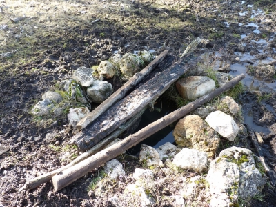 Pozo de los Llanos - imagen 4